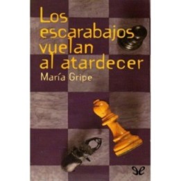 Los escarabajos vuelan al atardecer
