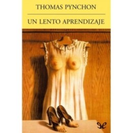 Un lento aprendizaje