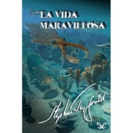 La vida maravillosa