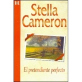 El pretendiente perfecto