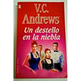Un destello en la niebla