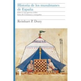 Historia de los musulmanes de España II