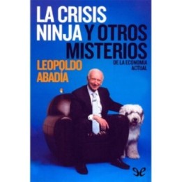 La crisis ninja y otros misterios de la economía actual