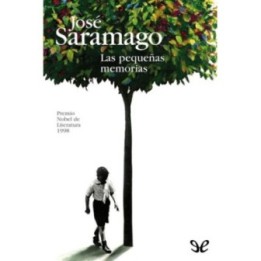 Las pequeñas memorias