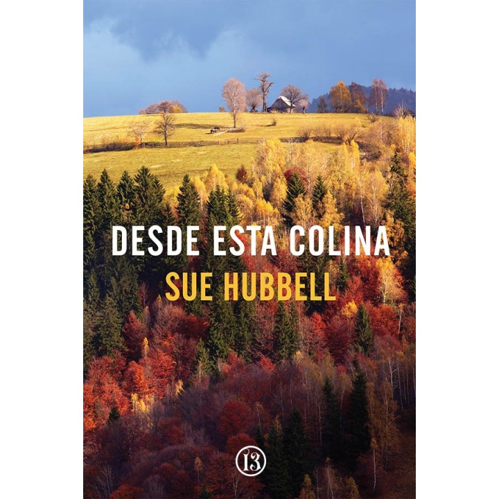Desde esta colina