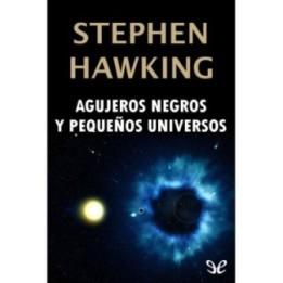 Agujeros negros y pequeños universos