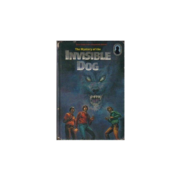 The Mystery of the Invisible Dog