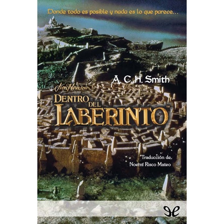 Dentro del laberinto