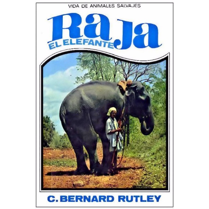 Raja