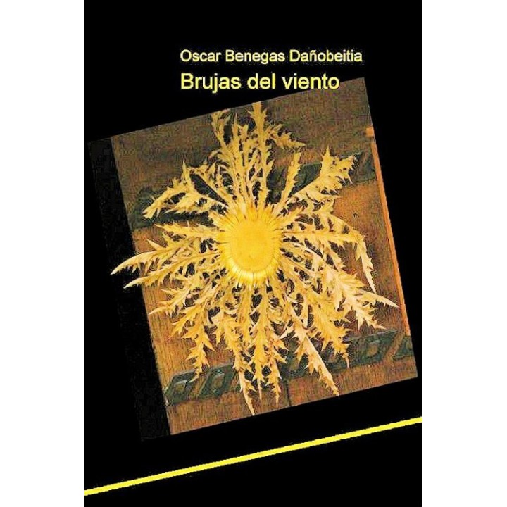 Brujas del viento