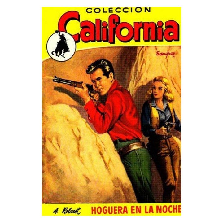 Hoguera en la noche