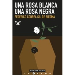 Una rosa blanca