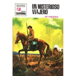 Un misterioso viajero