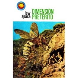 Dimensión pretérito