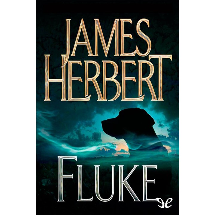 Fluke