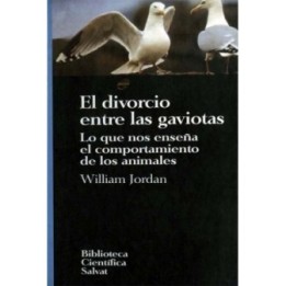 El divorcio entre las gaviotas