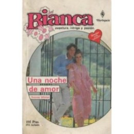 Una noche de amor
