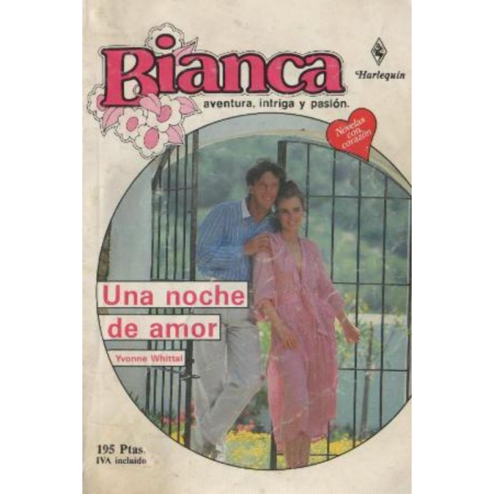 Una noche de amor