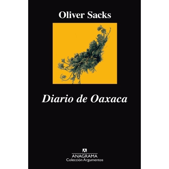 Diario de Oaxaca