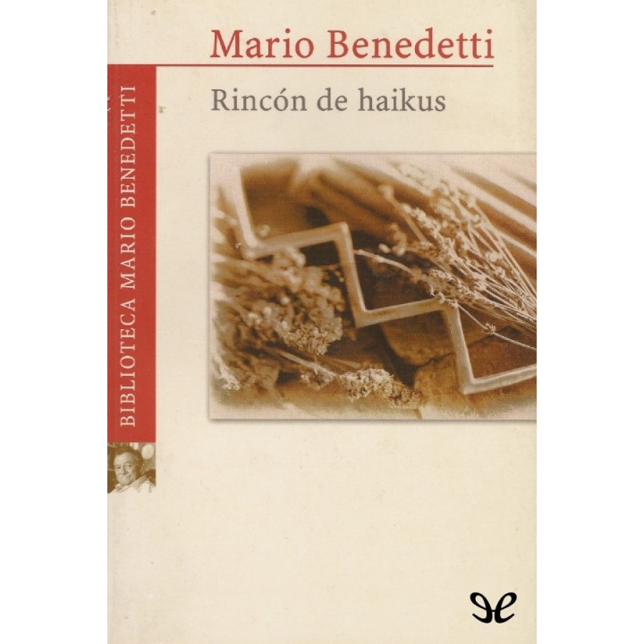 Rincón de Haikus