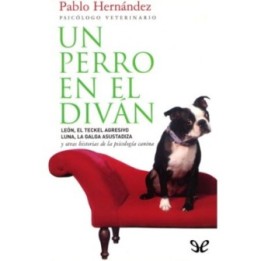 Un perro en el diván