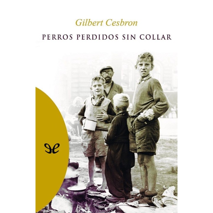 Perros perdidos sin collar