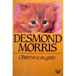 Observe a su gato