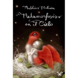 Metamorfosis en el cielo