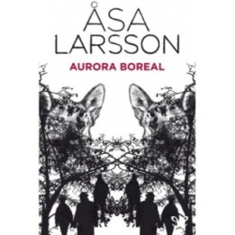 Aurora boreal