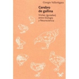 Cerebro de gallina