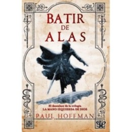 Batir de alas
